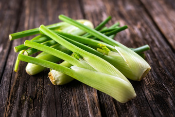 organic fennel on rustic wooden background