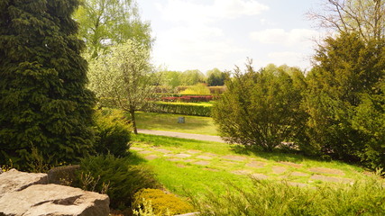 Natura © Krzysztof Gebarowski