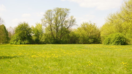 Natura © Krzysztof Gebarowski
