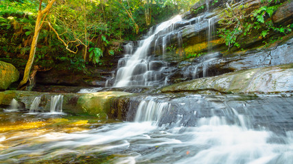 Rainforest waterfall cascading over the rocks into a shallow stream