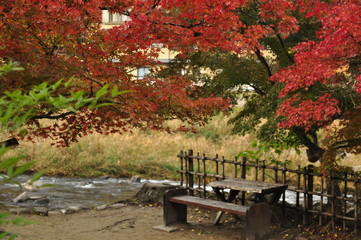 秋の香嵐渓 川と紅葉