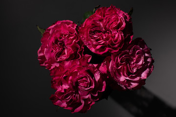 bouquet of red roses with water drops on black background