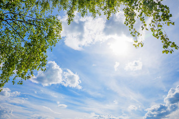 blue sky with clouds and bright sun, birch branches with fresh green leaves