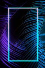 Tropical leaves with neon frame for background, palm leaves in blue and purple gradient