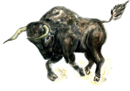 Black bull art