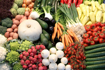 Group of various vegetables and as background