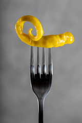a pod of green pickled piquant pepper, impaled on a fork on a gray background, closeup