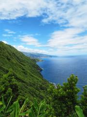 Fototapeta na wymiar green mountains on the coast of Pico Island, Azores- Portugal