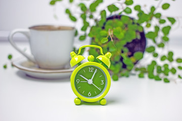 Green alarm clock, coffee cup and indoor flower background, copy space