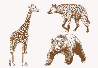 Graphical vintage set of savanna animals , sepia background,vector illustration © Алексей Воробьёв