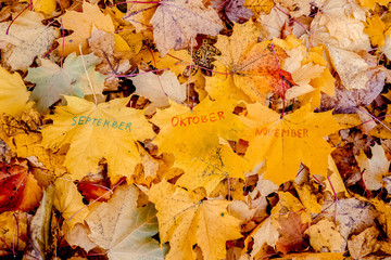 The text September, October, November is written with a felt-tip pen on an orange maple leaf....