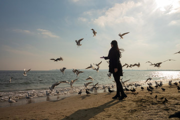 Young brunette woman with long hair in a black coat on the seashore on the beach on a sunny spring day.
