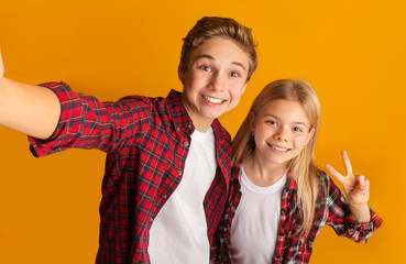 Preteen brother and sister taking selfie, smiling and showing peace gesture