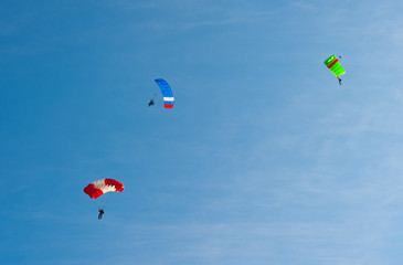 Fototapeta na wymiar Skydivers with colorful parachutes in the sky.