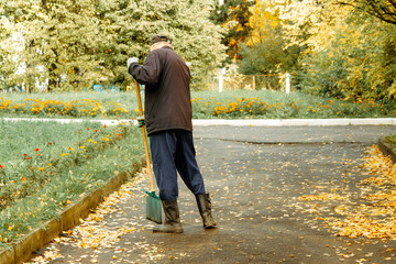 The janitor sweeps the fallen yellow leaves on the road. A man removes leaves from the asphalt with a broom. Autumn.
