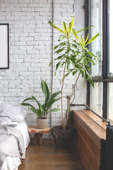 Eclectic bedroom interior with tropical plants. White brick wall and wooden floor.