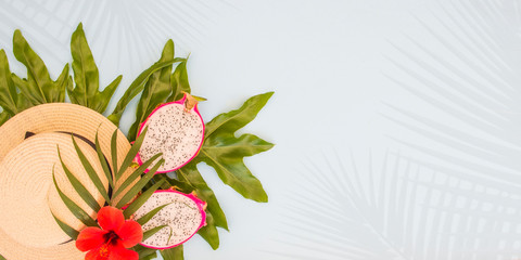 Tropical palm leaves Monstera on paper background.
