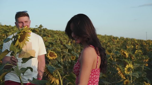 Handsome man comes, presents a sunflower and kisses his painting girl in field