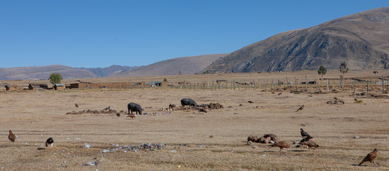 Fototapeta na wymiar Huanuco Pampa Site Tantamayo Andes Peru 