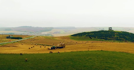 Scottish field with tractors and cattle