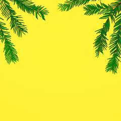 Green leaves on yellow with copy space. Summer creative minimal nature background