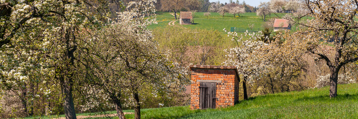 Kirschblüte Kirschbaum Banner Kirschgarten Landschaft