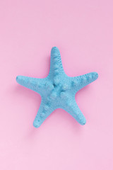 Starfish on a pink background