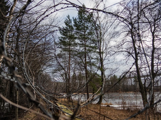 Fence with barbed wire rings on the river Bank on a spring day