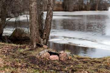 A picnic spot on the river Bank on a spring day, a fire place lined with bricks