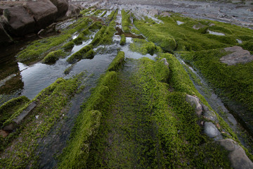 Karst formations on the coasts of the Basque Country