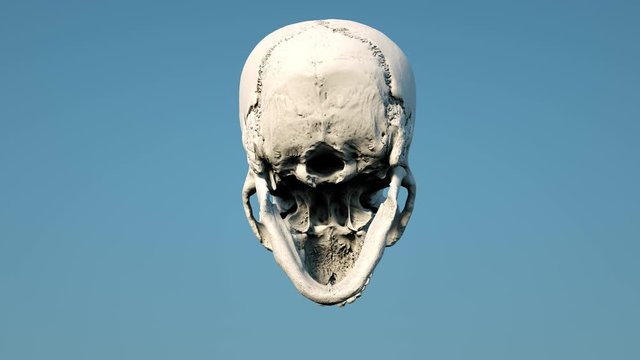 Natural Human skull with an open lower jaw, rotating around its axis, 360 degrees. Neutral background. Shabby, old, decrepit. Design material. 3D render.