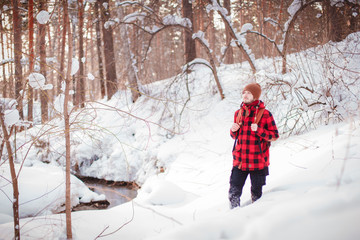 Male tourist with backpack walks on snow pine forest. Guy hiking at nature. Concept of winter holiday or vacation..