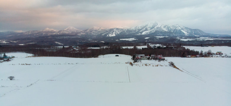 Panoramic Winter landscape photo of snow covered fields and cottages with bare trees in foreground and the majestic Mount Yotei in the background 