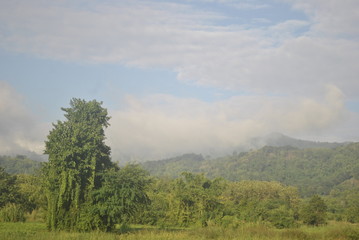 Obraz premium sky lanscape field green 