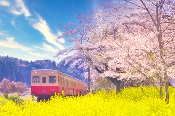春の小湊鐵道 © TAKE