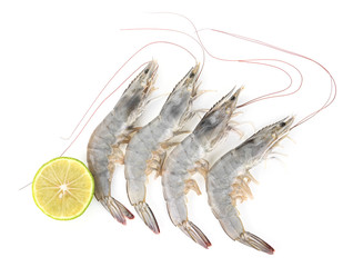 Fresh shrimps on white background