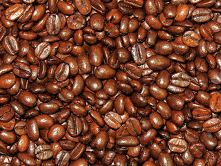 coffee beans background