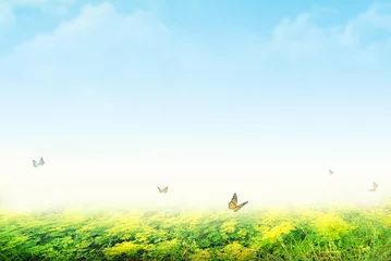 Papier Peint photo Lavable Bleu clair landscape with grass and blue sky