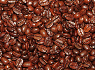 coffee beans background