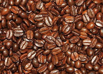 coffee beans background