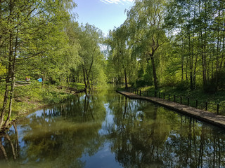 Fototapeta na wymiar beautyful water canal in the spree forest