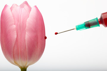 syringe and flower on white background