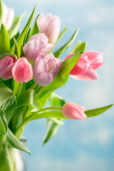 Bouquet of pink tulips