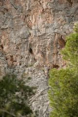 two rock wall climbers, rock climbing, with trees