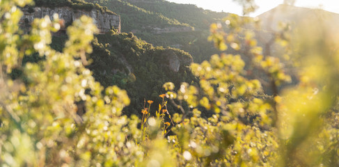 Hiking vacation / forest adventure