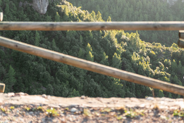 Hiking vacation / forest adventure