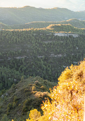 Hiking vacation / forest adventure