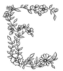 banner flowers twigs ornament frame vector illustration graphic outline stroke decoration isolate