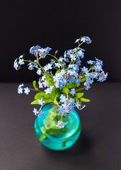 Blue forget-me-not flowers in a glass vase on a black background