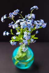 Blue forget-me-not flowers in a glass vase on a black background